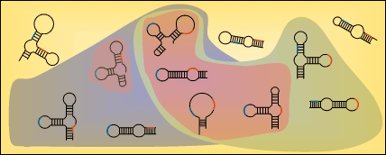 RNA Genomics and RNA Genomics and Bioinformatics