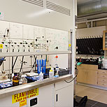 photo of the completed Noonan lab