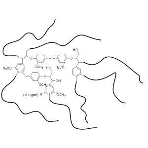molecular diagram