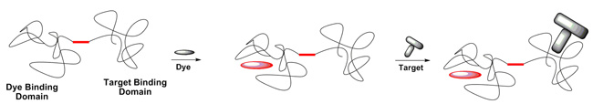 RNA-Dye binding diagram